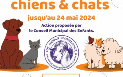 Collecte pour nos amis les animaux – Jusqu’au 24 mai 2024